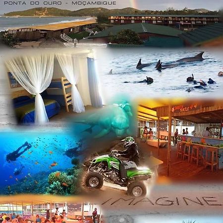 Paraiso Do Ouro Beach Front Resort Budget Accommodation 蓬塔杜欧鲁 外观 照片